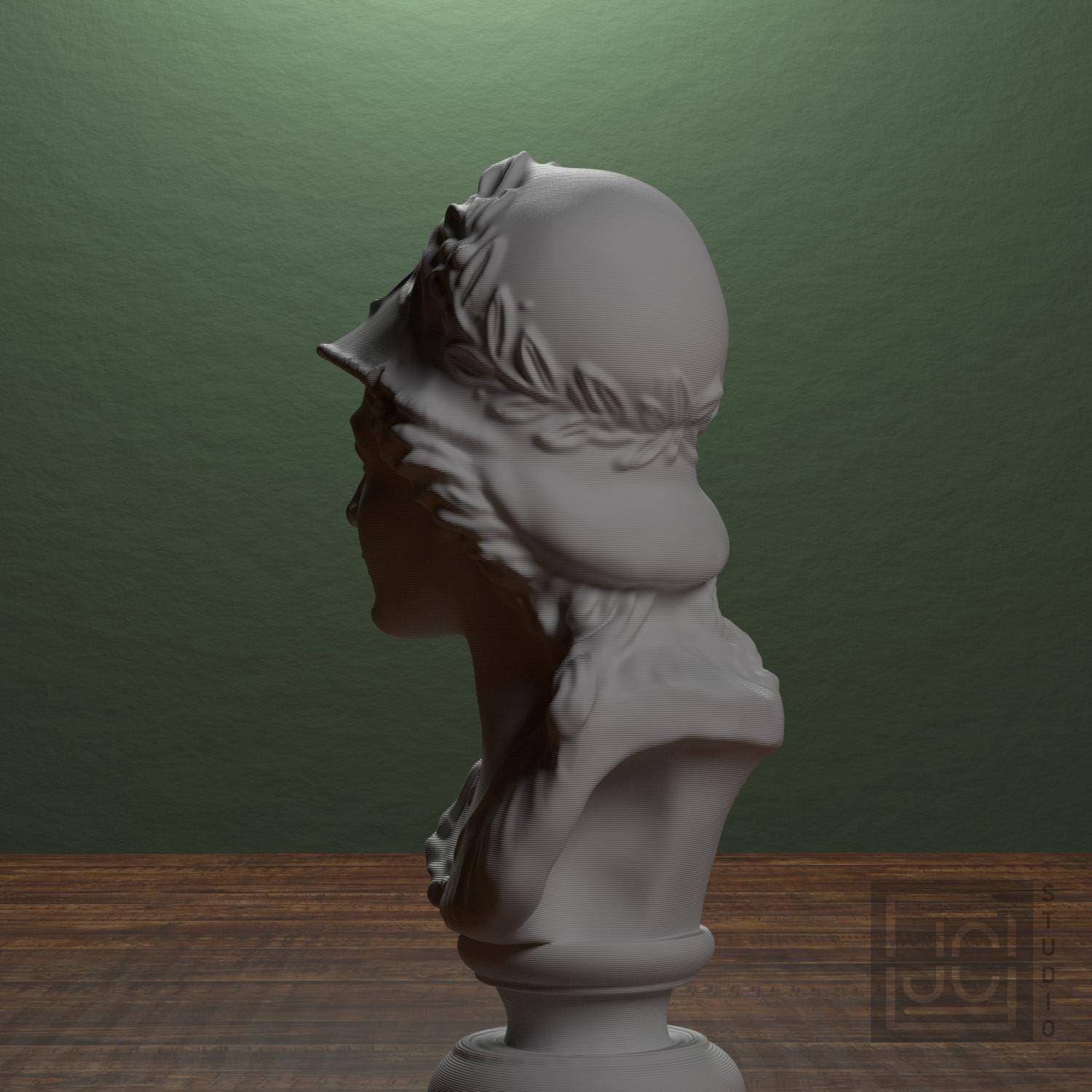 Bust of Minerva supplemental reference photo 1