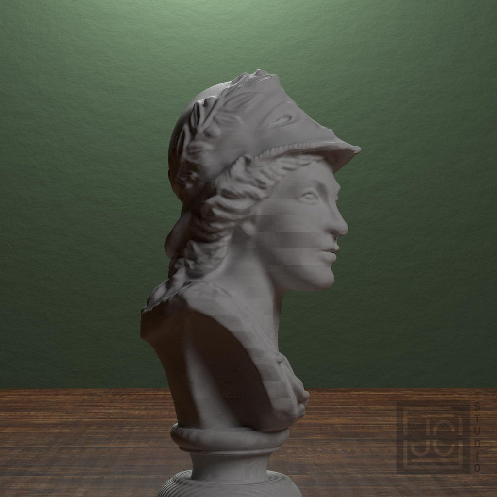 Bust of Minerva supplemental reference photo 3