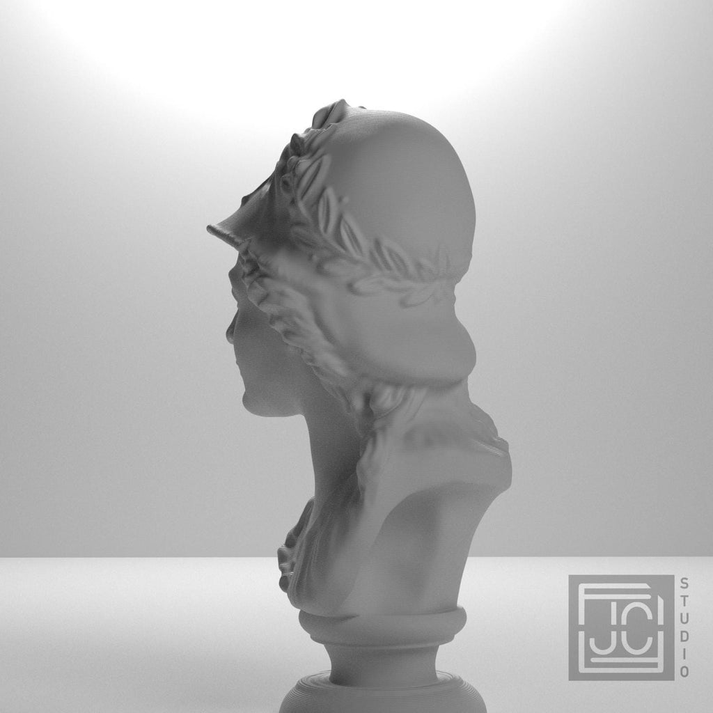 Bust of Minerva supplemental reference photo 5
