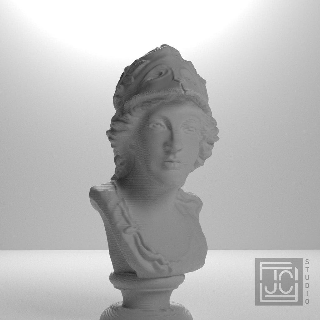 Bust of Minerva supplemental reference photo 8