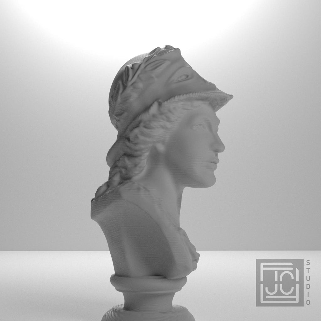 Bust of Minerva supplemental reference photo 9