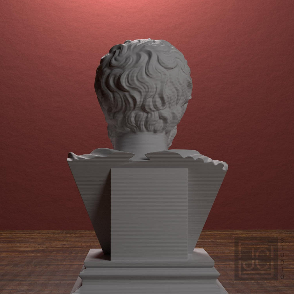Aristotle supplemental reference photo 3