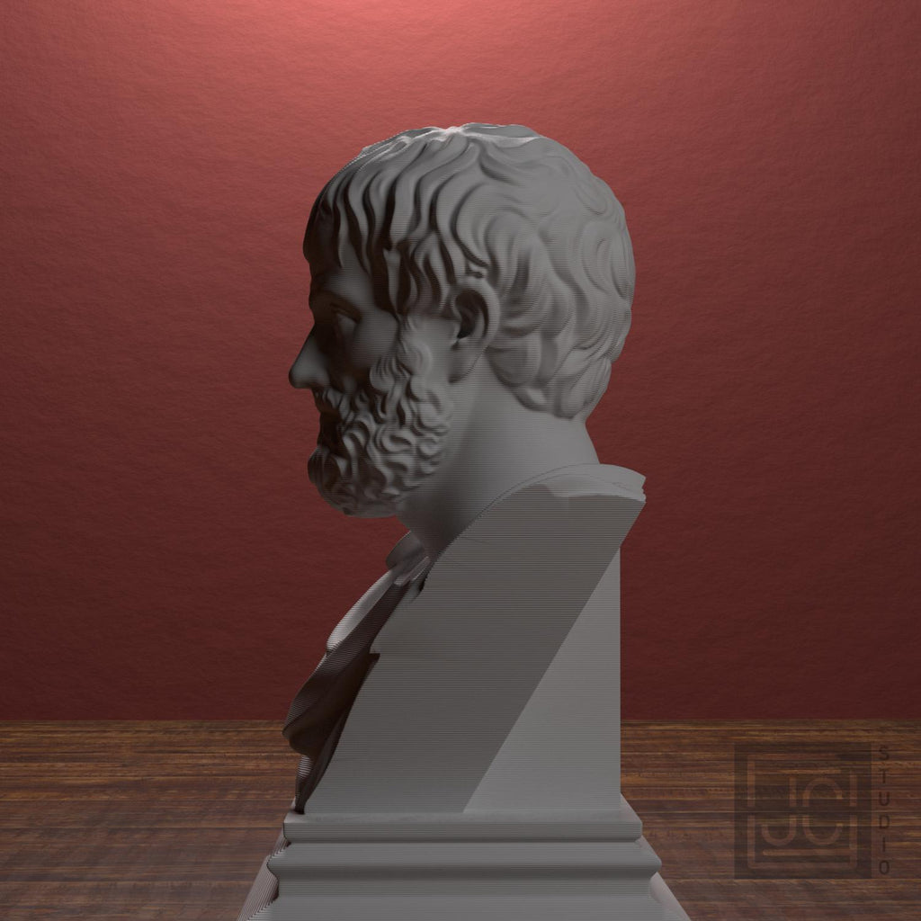 Aristotle supplemental reference photo 4