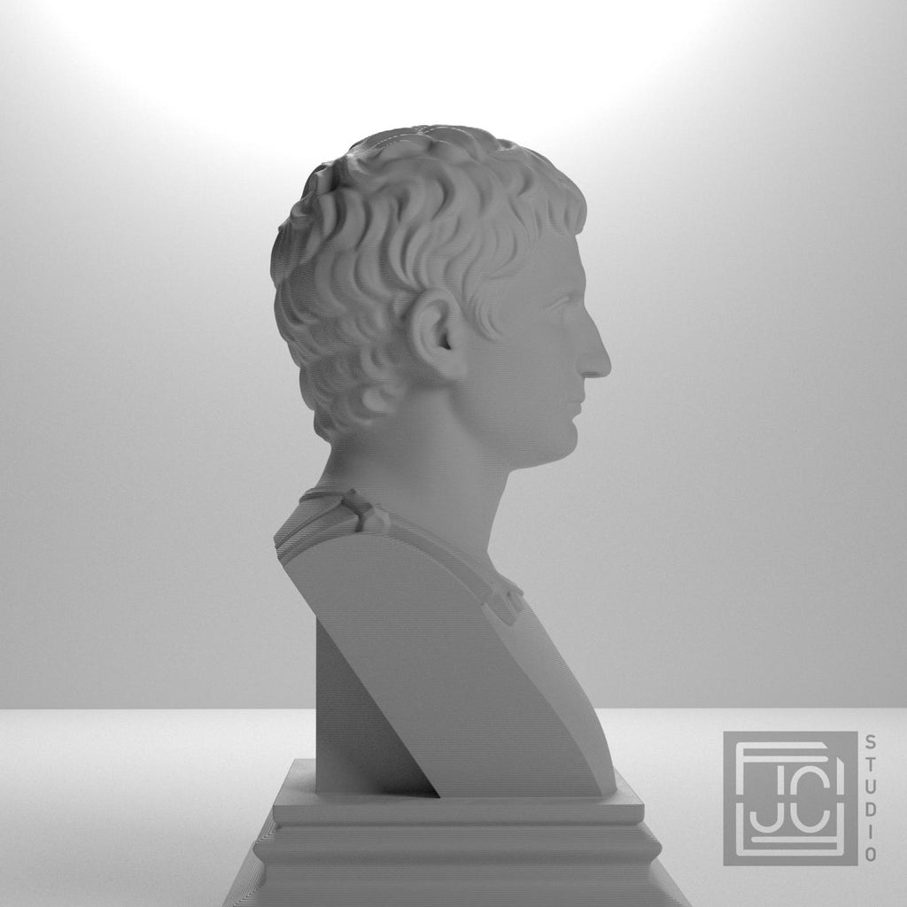 Augustus supplemental reference photo 7