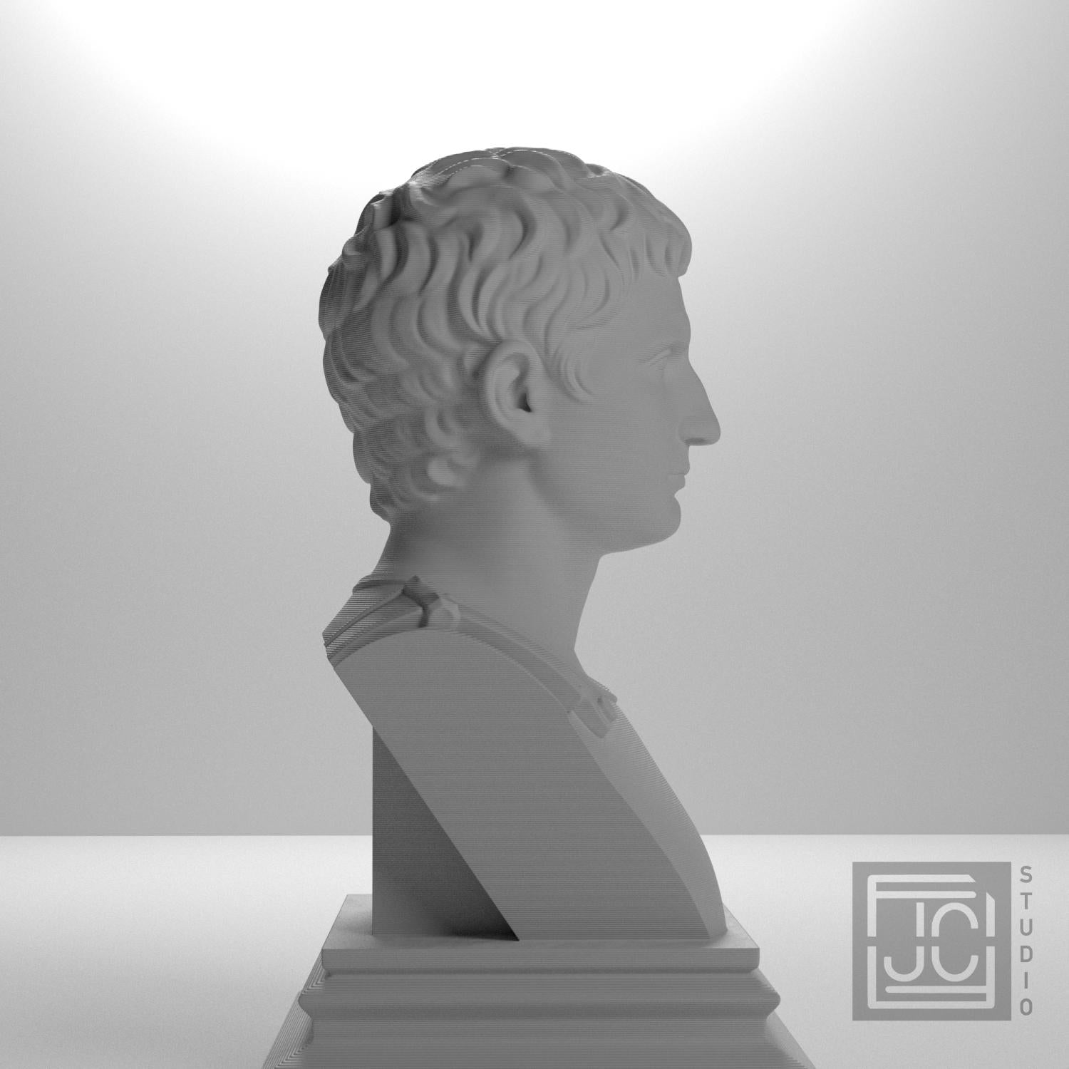 Augustus supplemental reference photo 7