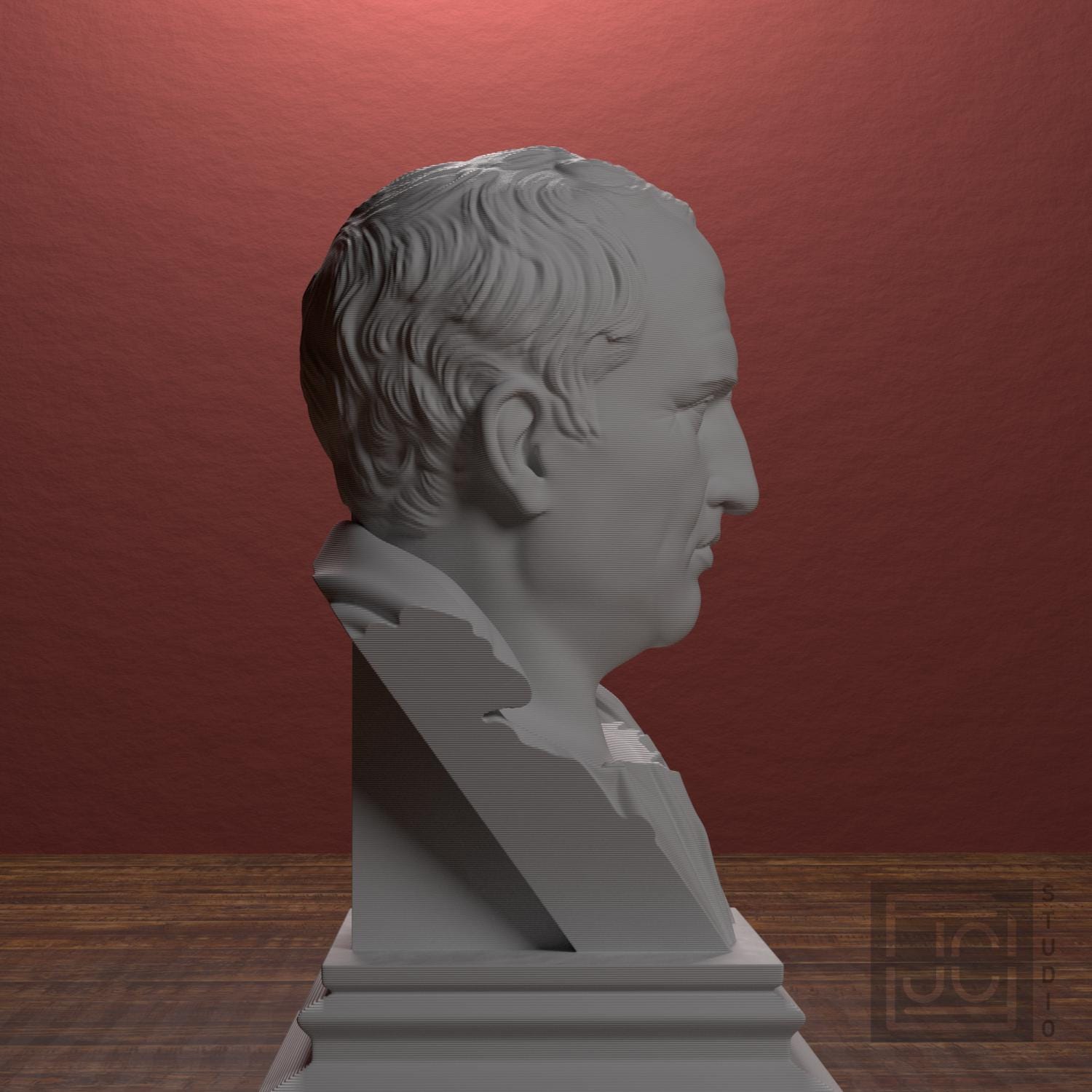 Cicero supplemental reference photo 2