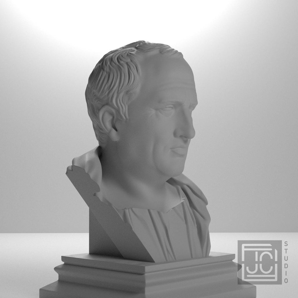 Cicero supplemental reference photo 6