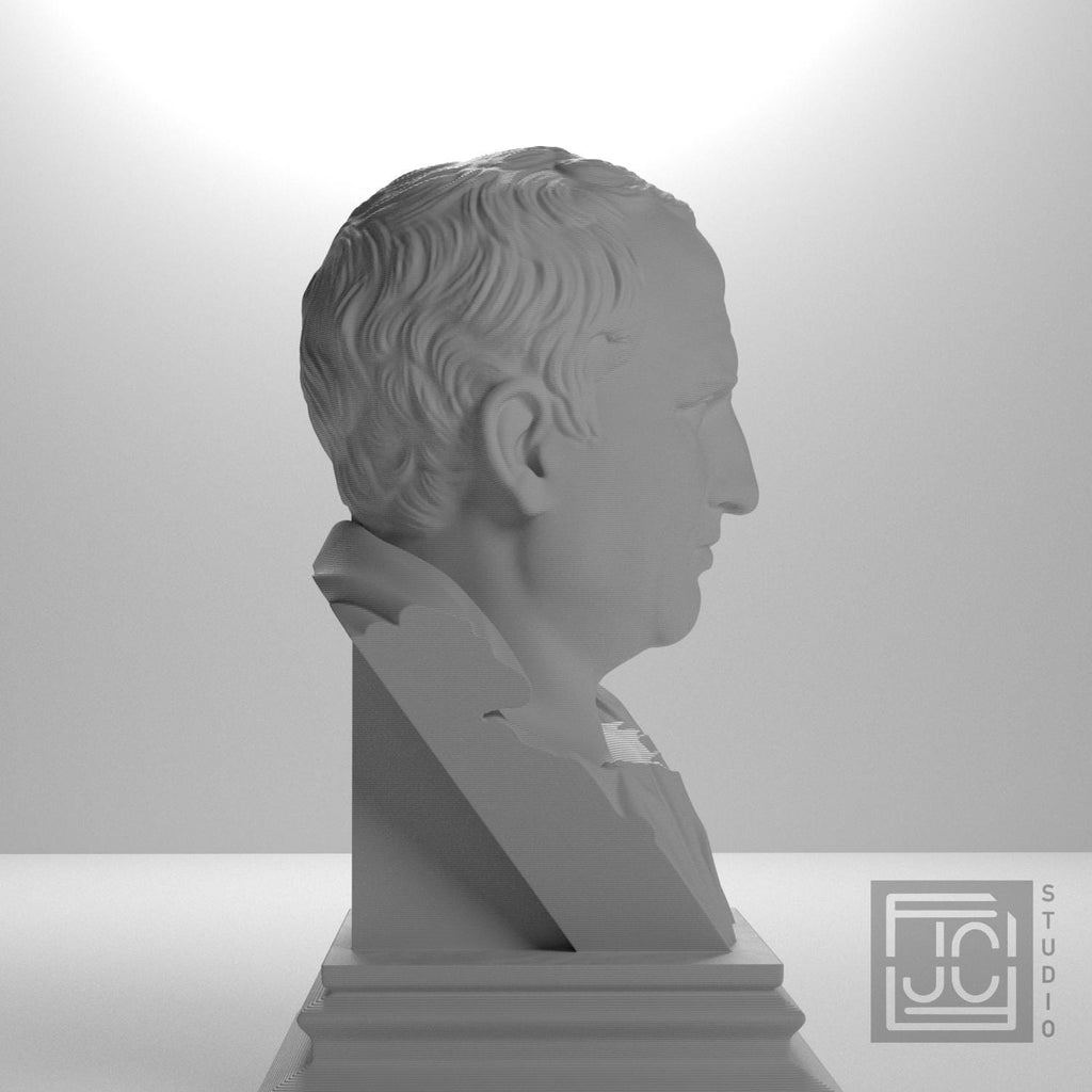 Cicero supplemental reference photo 7