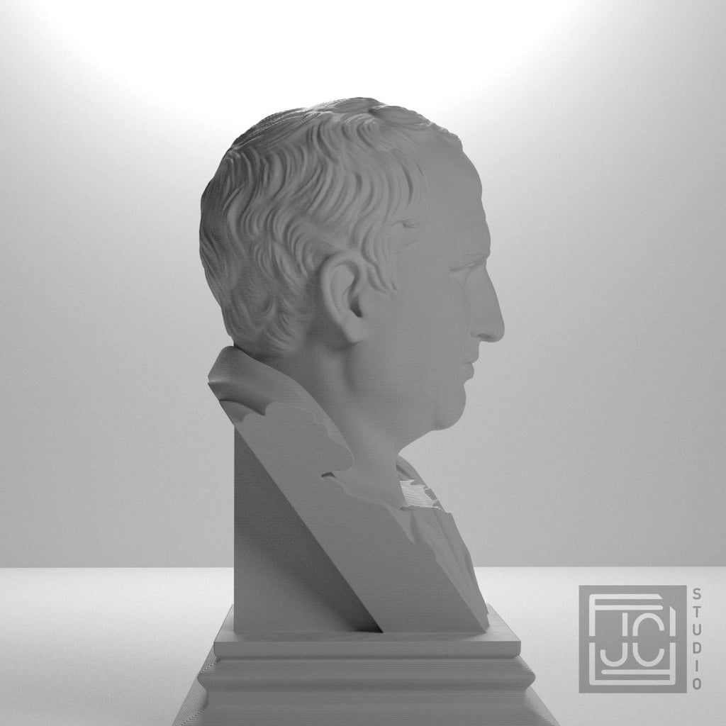 Cicero supplemental reference photo 7