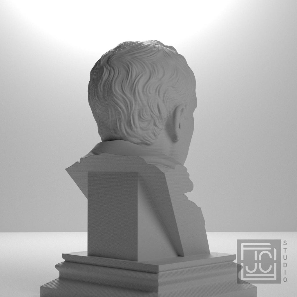 Cicero supplemental reference photo 8