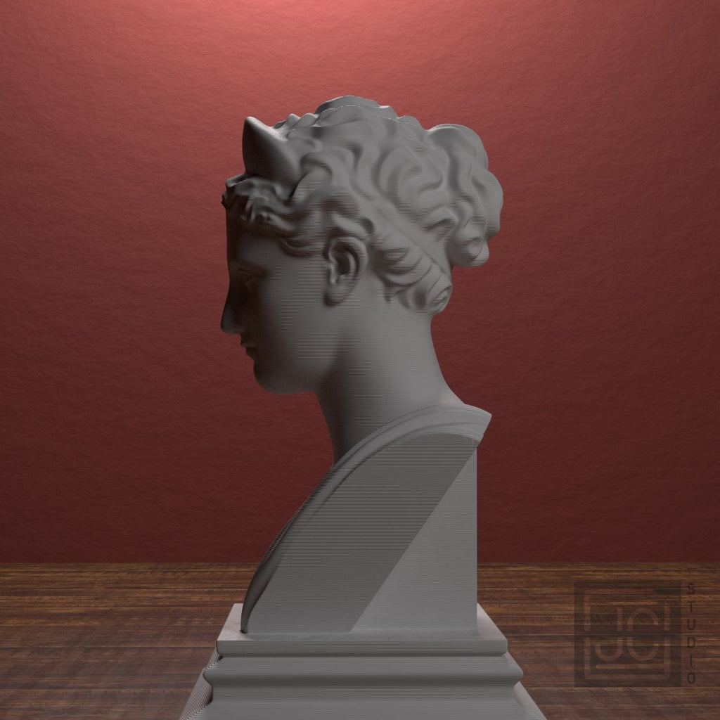 Artemis supplemental reference photo 4