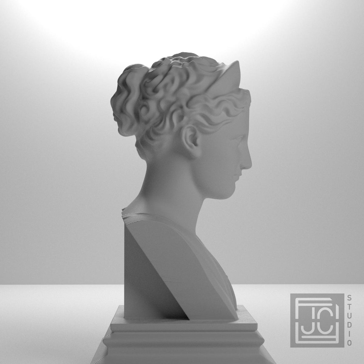 Artemis supplemental reference photo 7