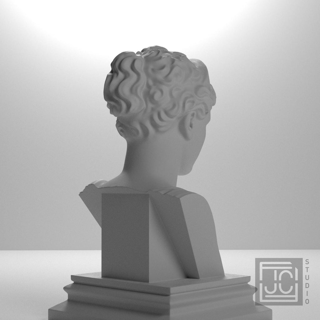 Artemis supplemental reference photo 8
