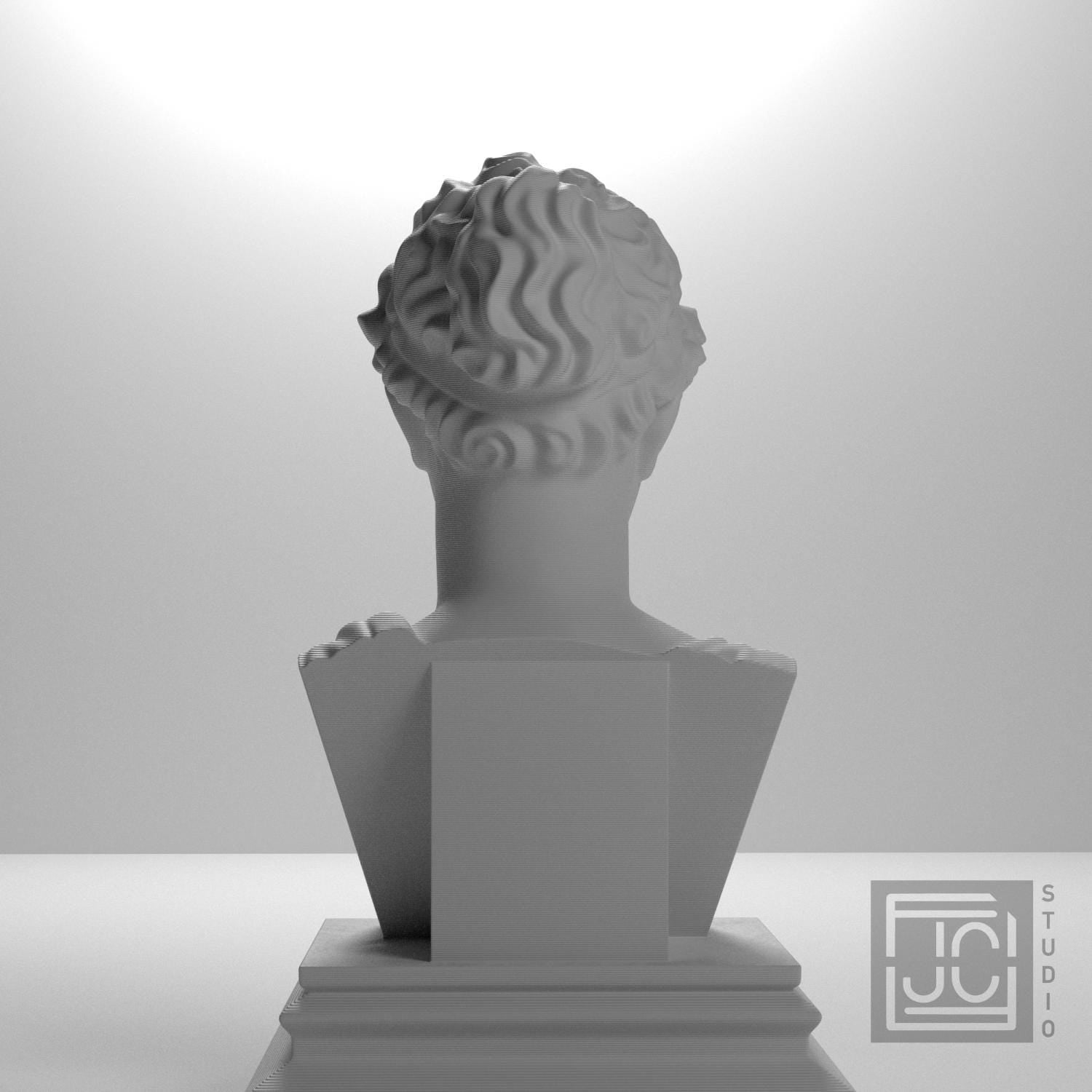 Artemis supplemental reference photo 9