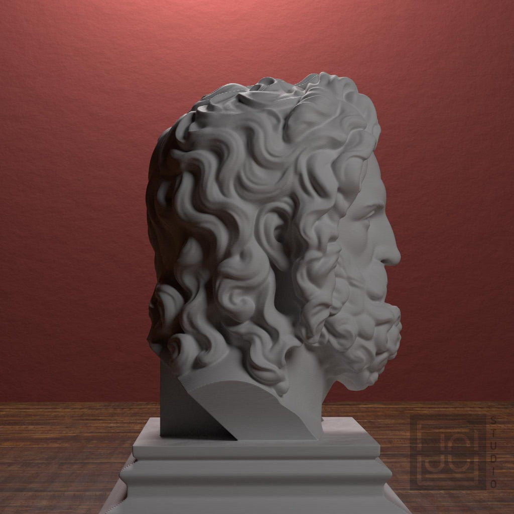 Zeus supplemental reference photo 2