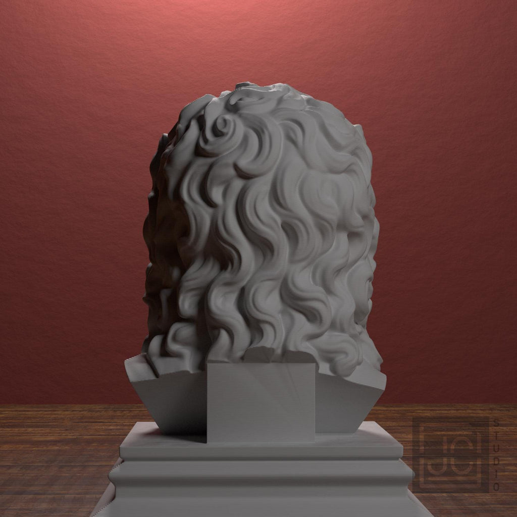Zeus supplemental reference photo 3