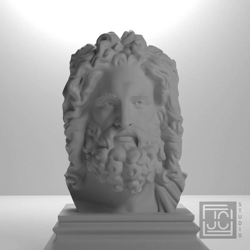 Zeus supplemental reference photo 5