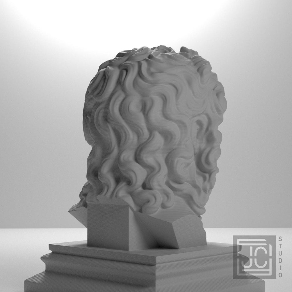 Zeus supplemental reference photo 8