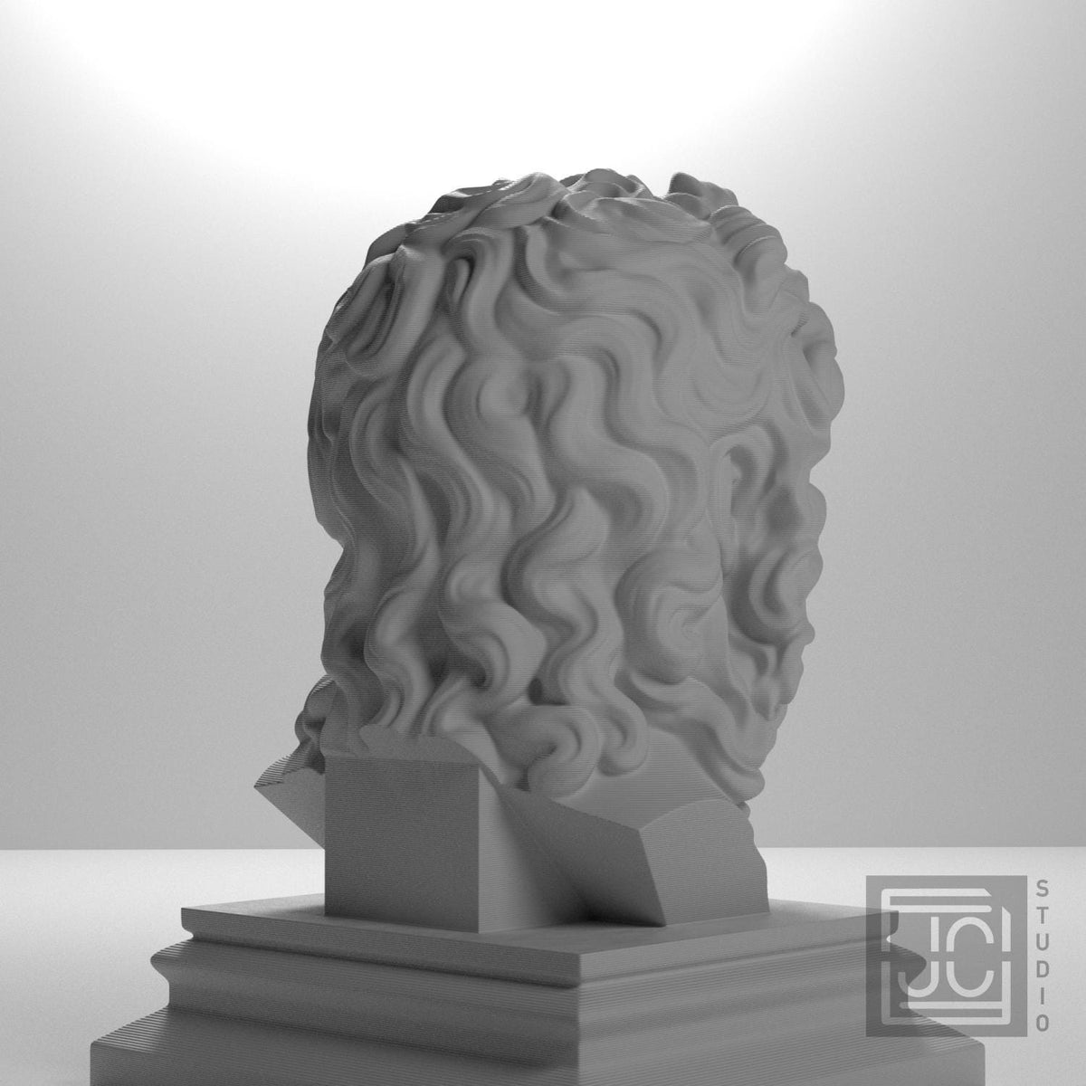 Zeus supplemental reference photo 8