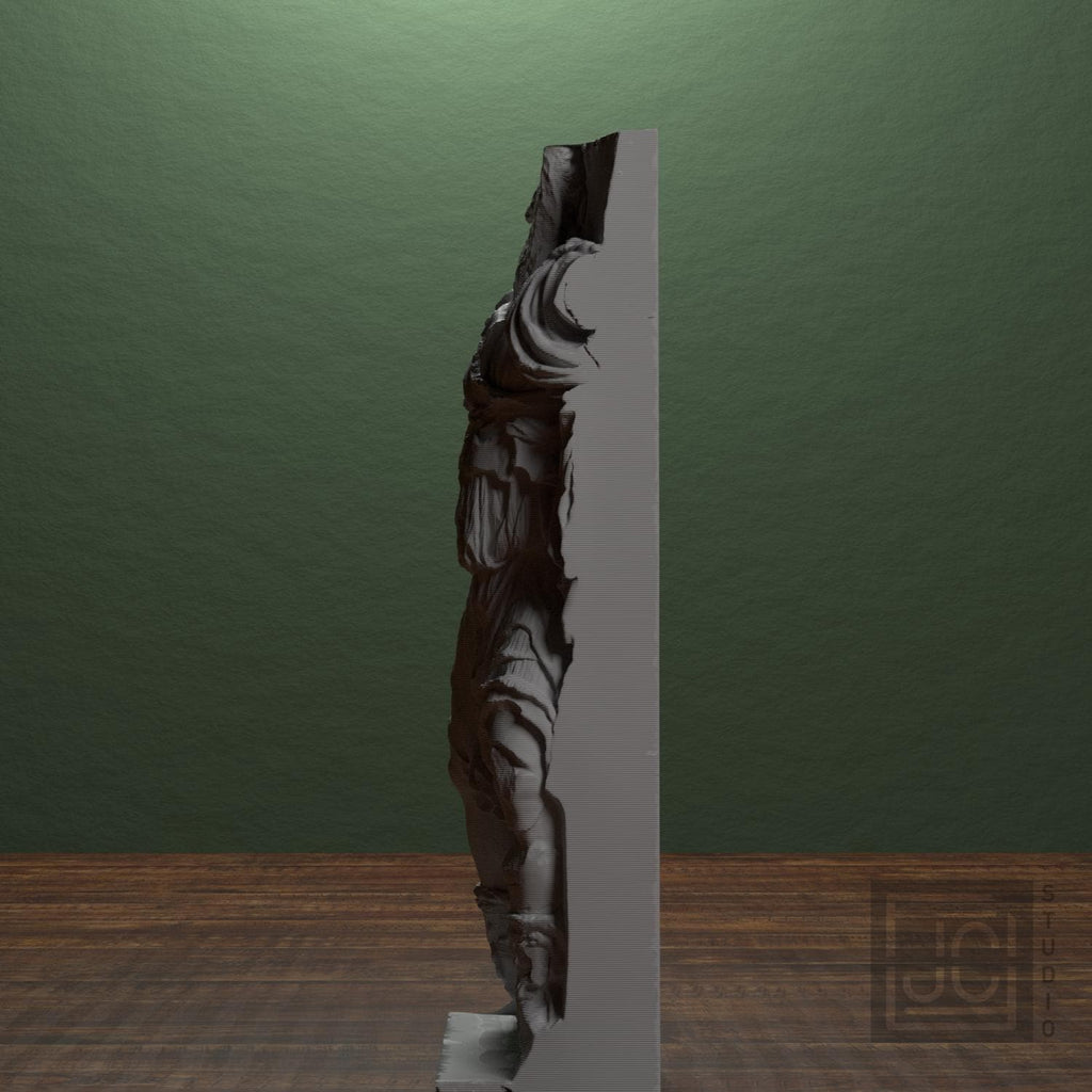 Dionysus and Satyr supplemental reference photo 4