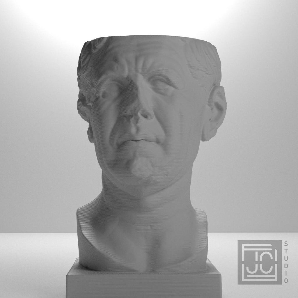 Portrait of a Roman the so-called 'Tivoli General' supplemental reference photo 5