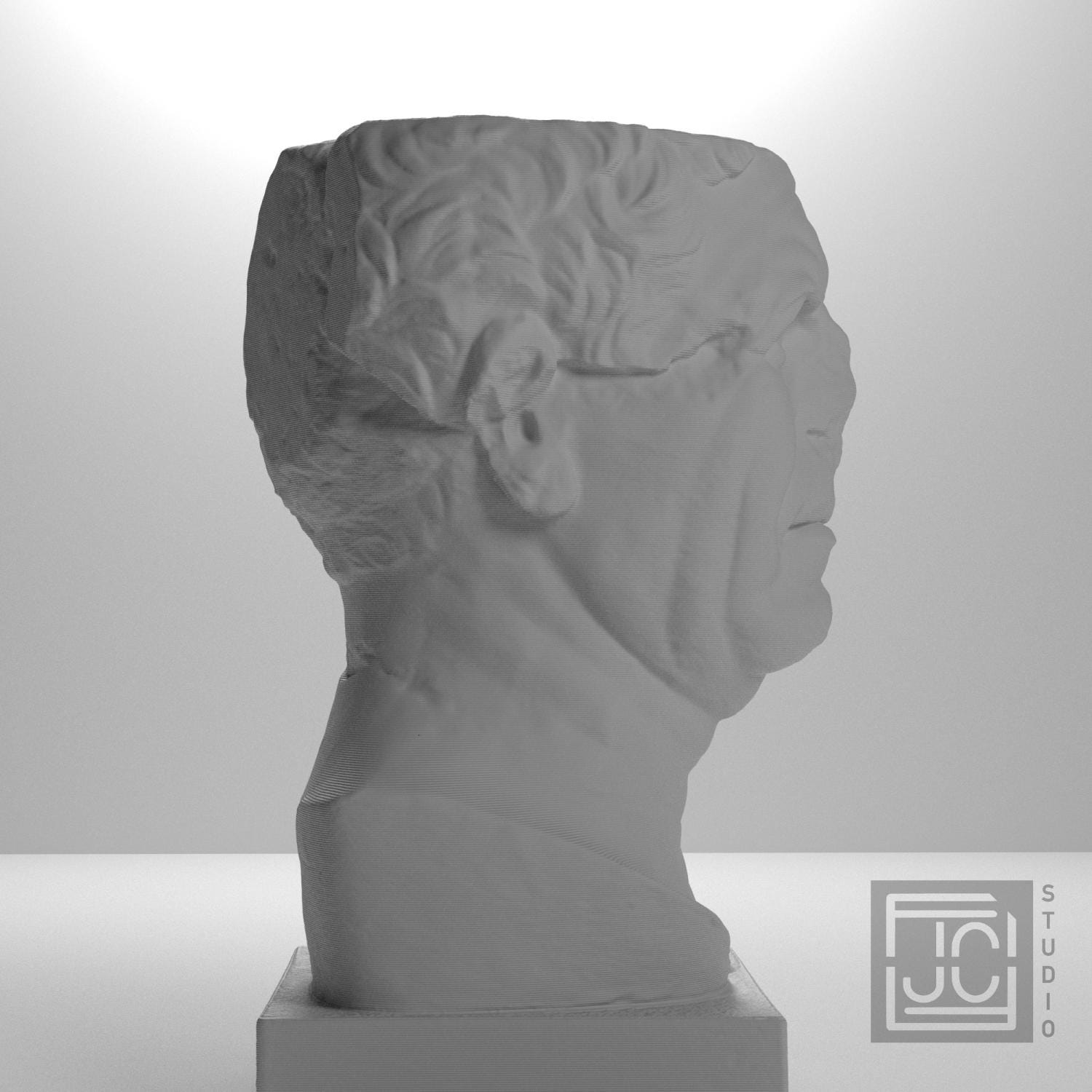 Portrait of a Roman the so-called 'Tivoli General' supplemental reference photo 7