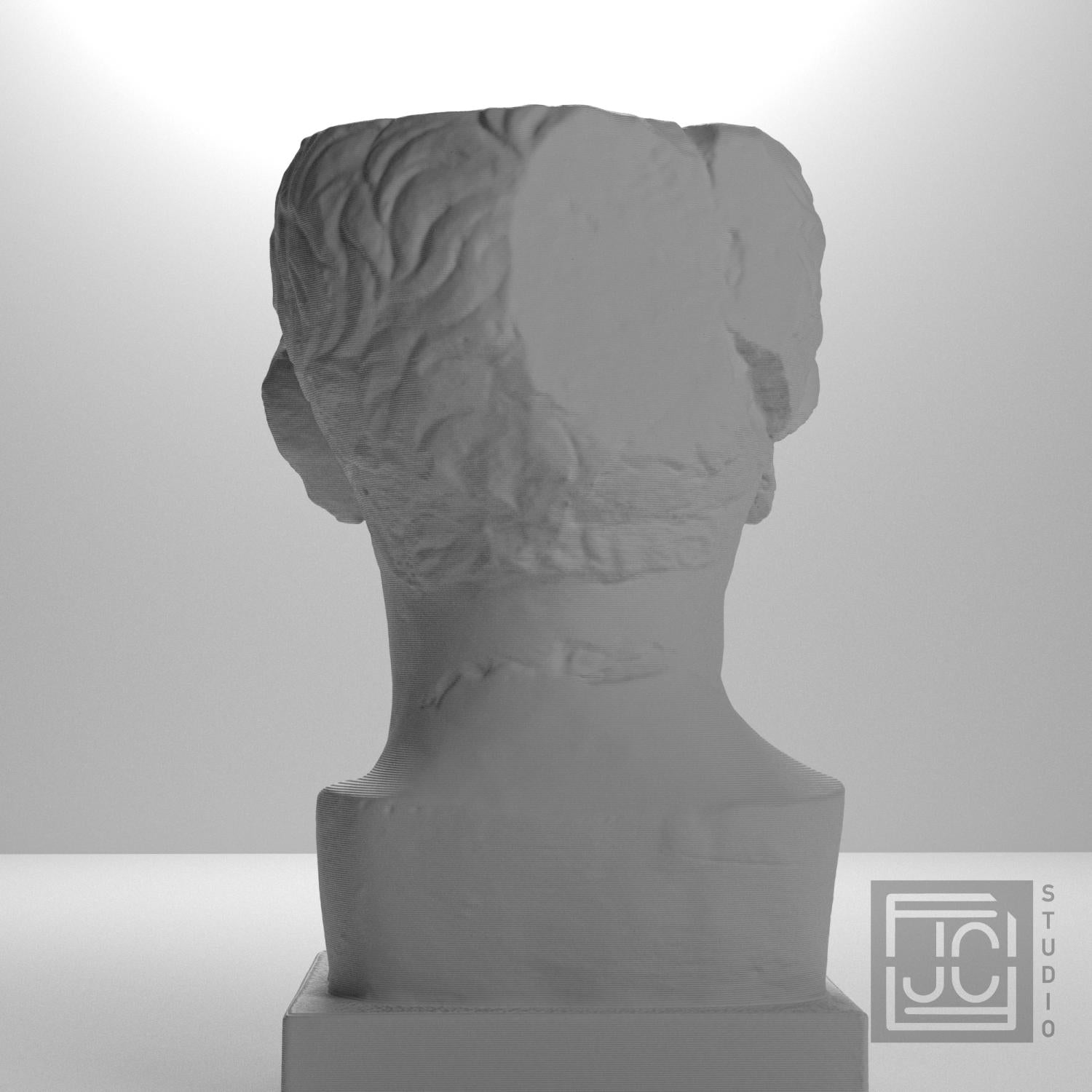 Portrait of a Roman the so-called 'Tivoli General' supplemental reference photo 9