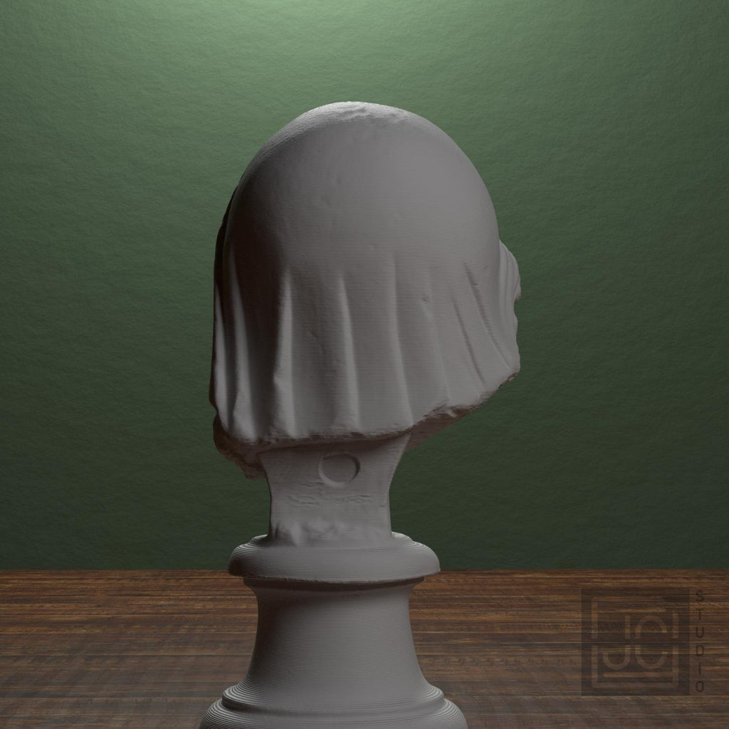 Head of the Mourning Penelope supplemental reference photo 3