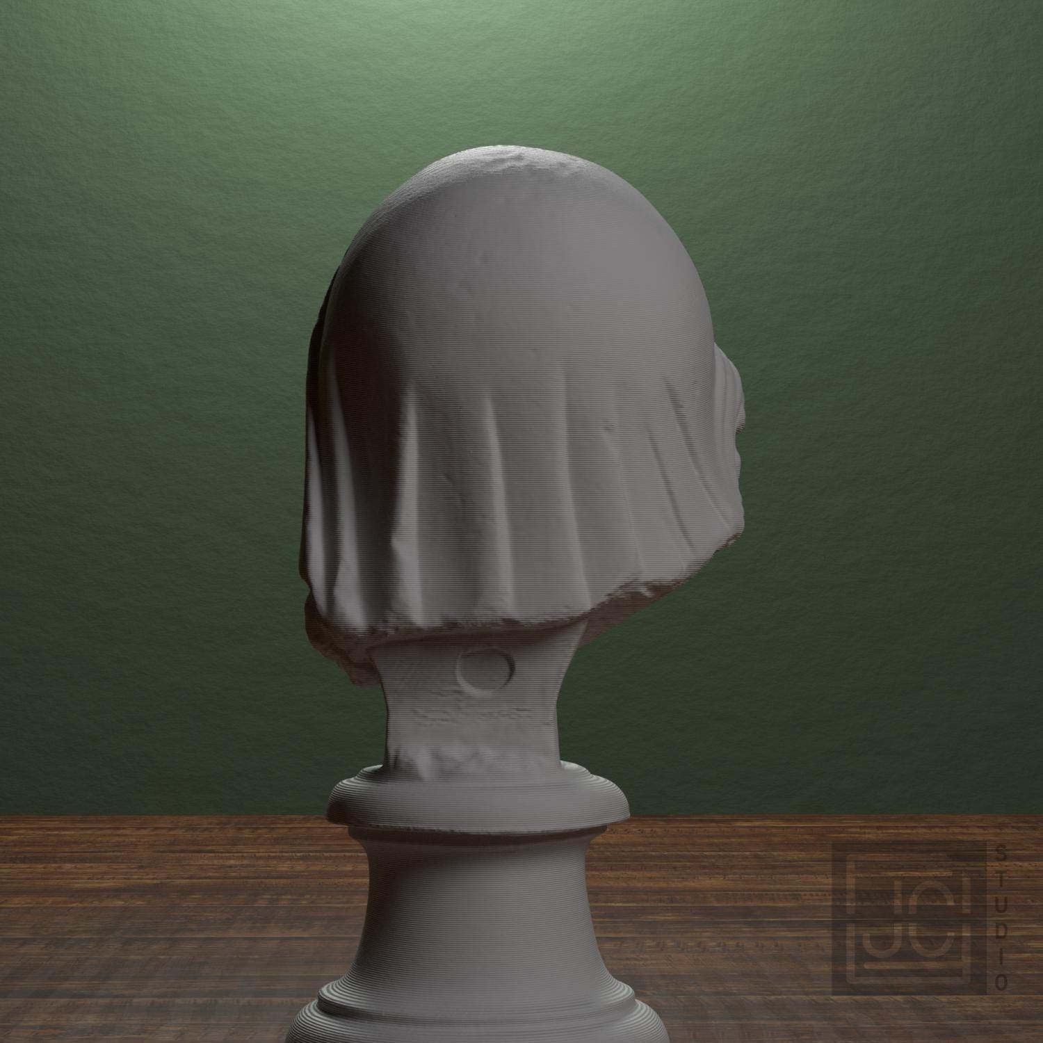 Head of the Mourning Penelope supplemental reference photo 3