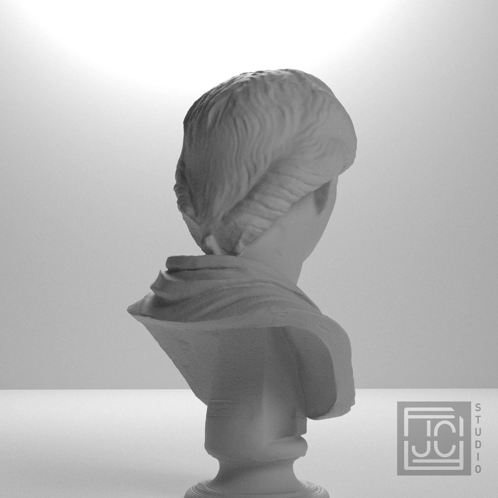 Portrait of Roman lady supplemental reference photo 8
