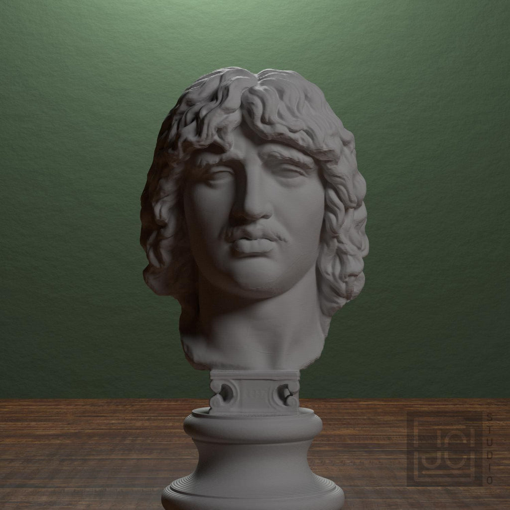 Head of a Barbarian Chief supplemental reference photo 1