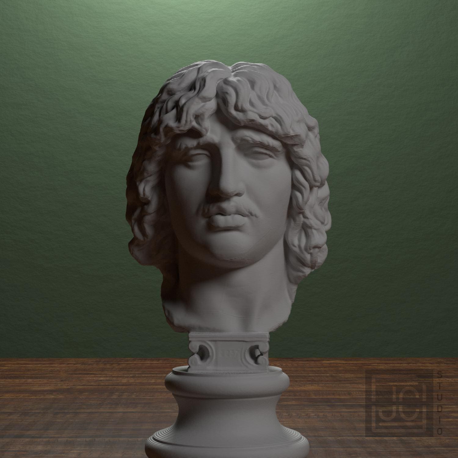 Head of a Barbarian Chief supplemental reference photo 1