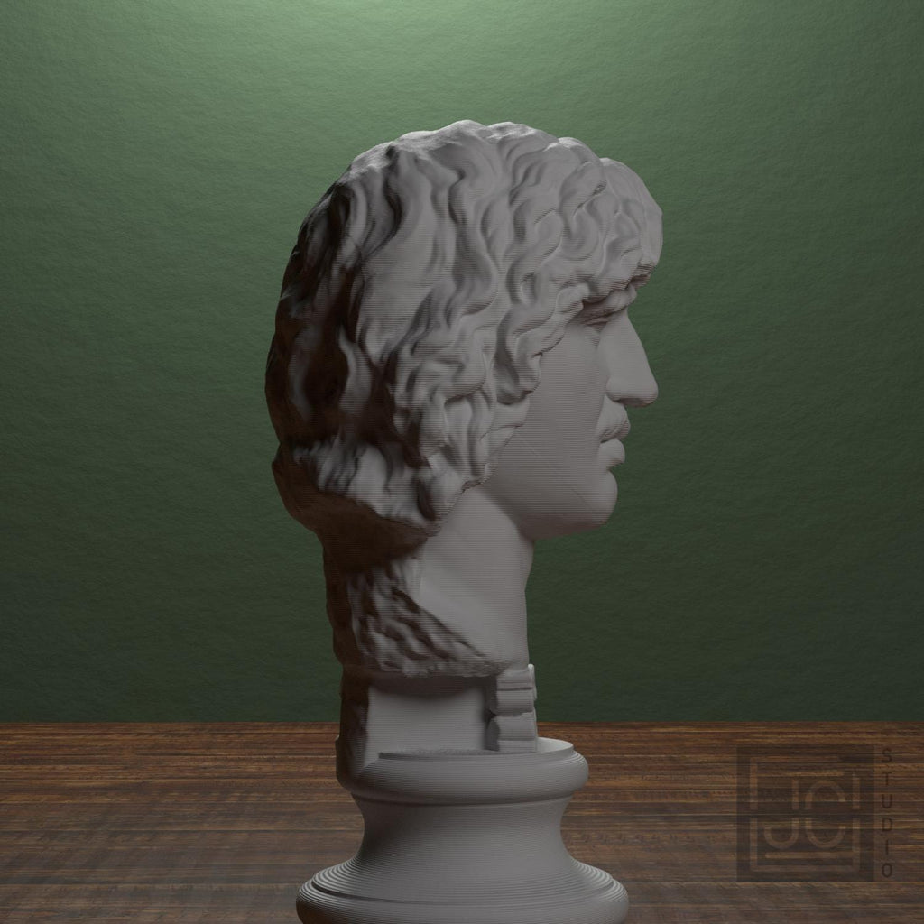 Head of a Barbarian Chief supplemental reference photo 2