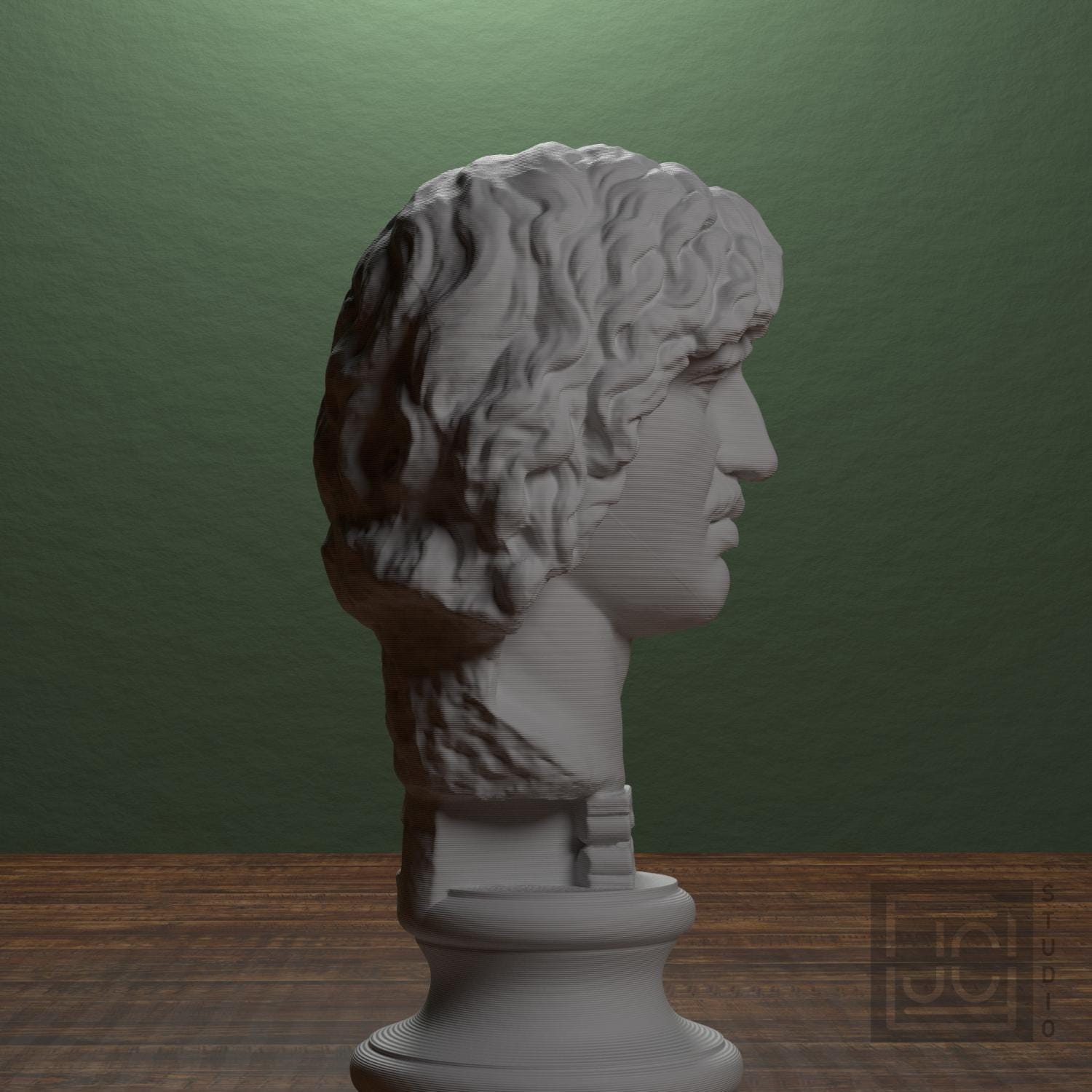 Head of a Barbarian Chief supplemental reference photo 2