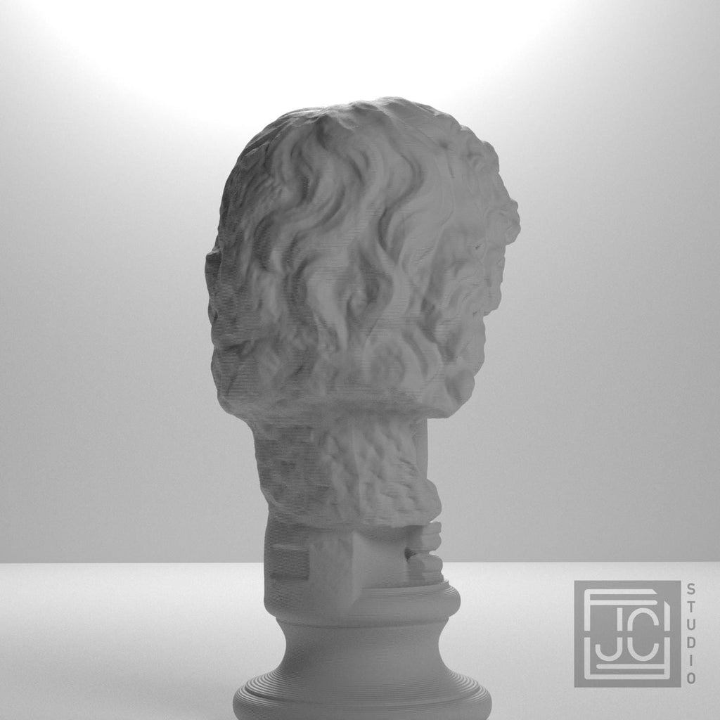 Head of a Barbarian Chief supplemental reference photo 8