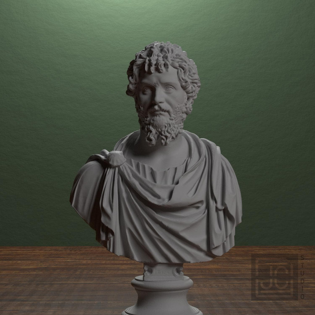 Portrait of Septimius Severus supplemental reference photo 1