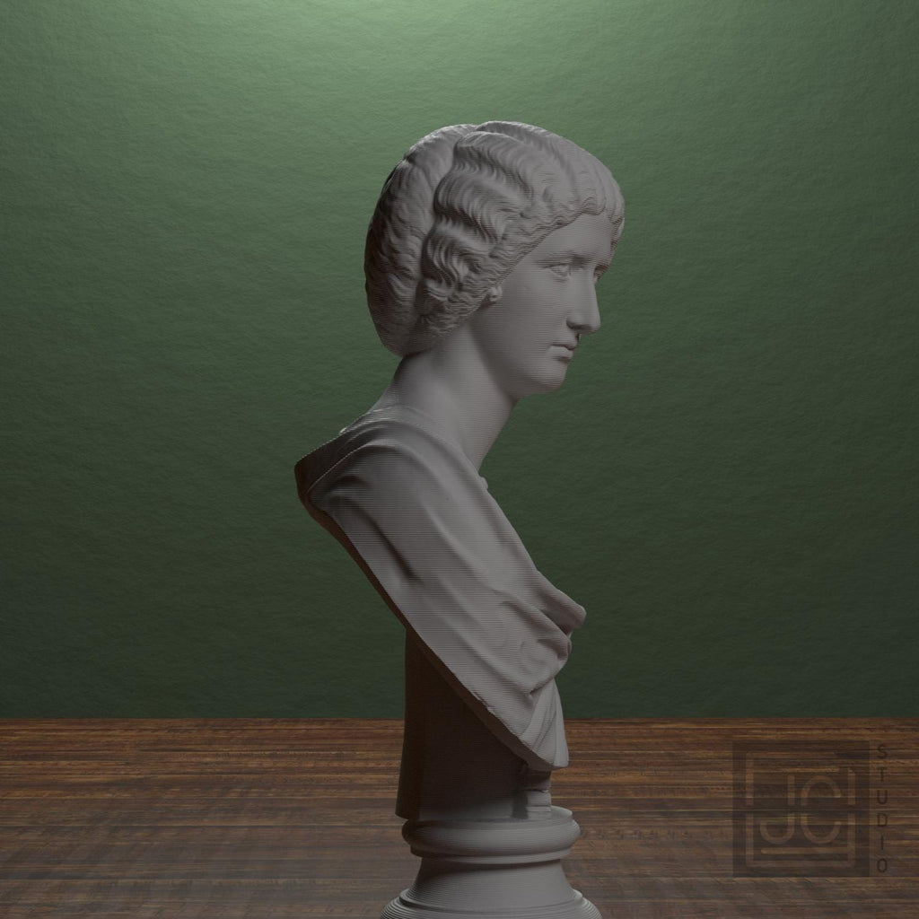 Portrait of a noble lady supplemental reference photo 2