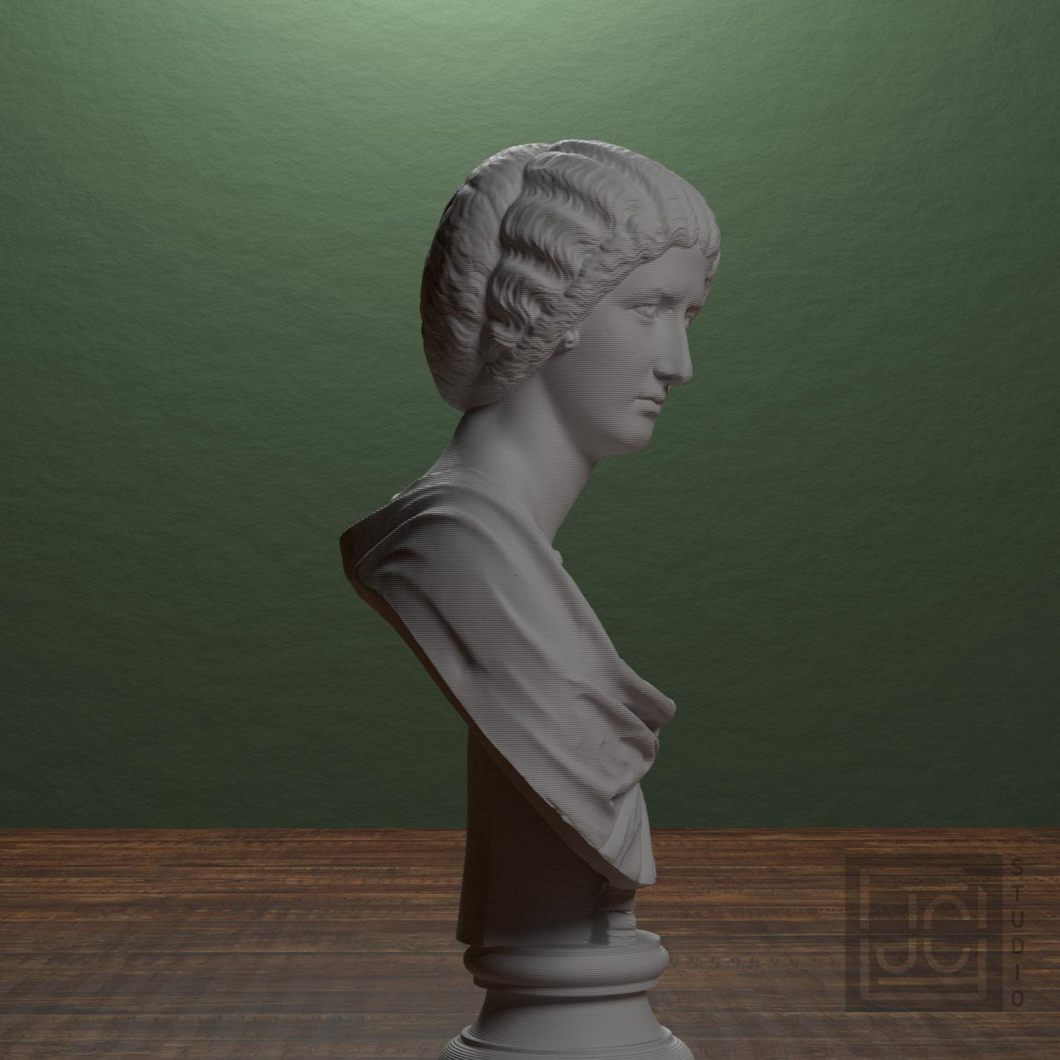 Portrait of a noble lady supplemental reference photo 2