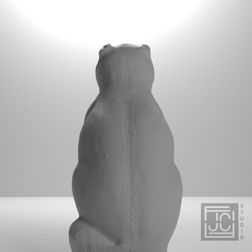 Chinese Porcelain Pug Dog A (One of a Pair) supplemental reference photo 9