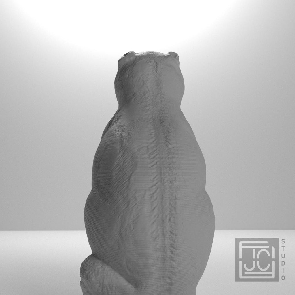 Chinese Porcelain Pug Dog B (One of a Pair) supplemental reference photo 9