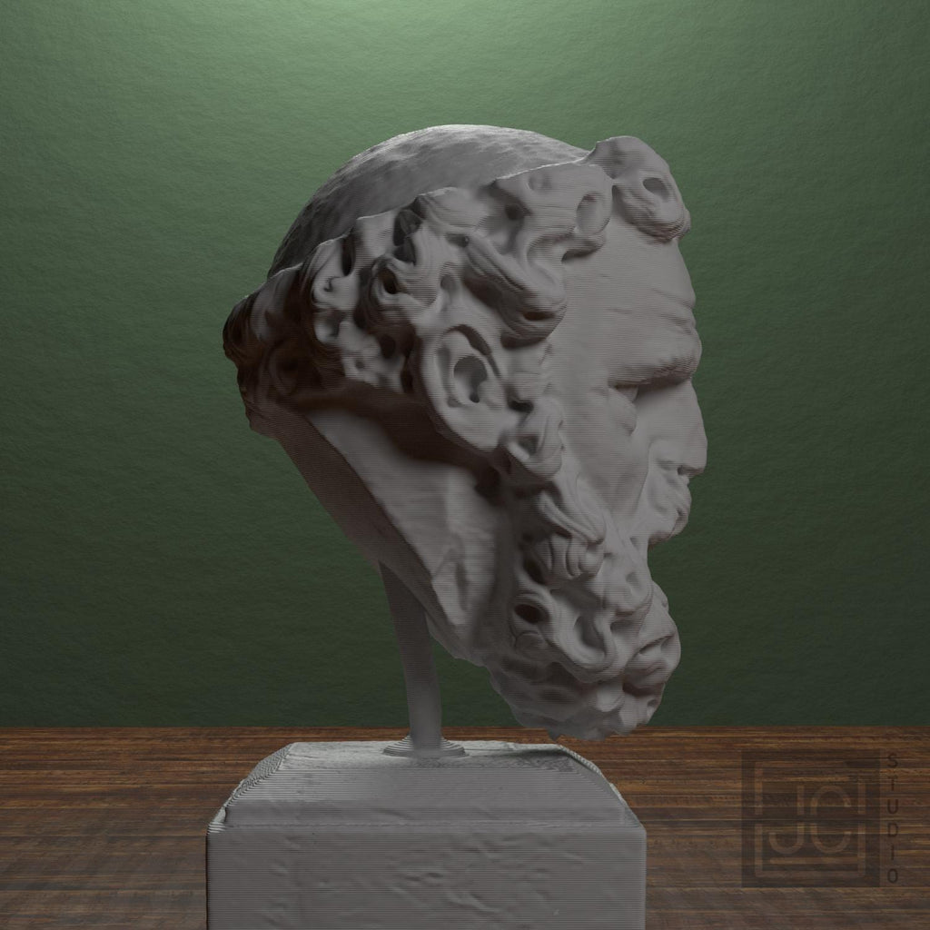Head of a Bearded Man supplemental reference photo 2