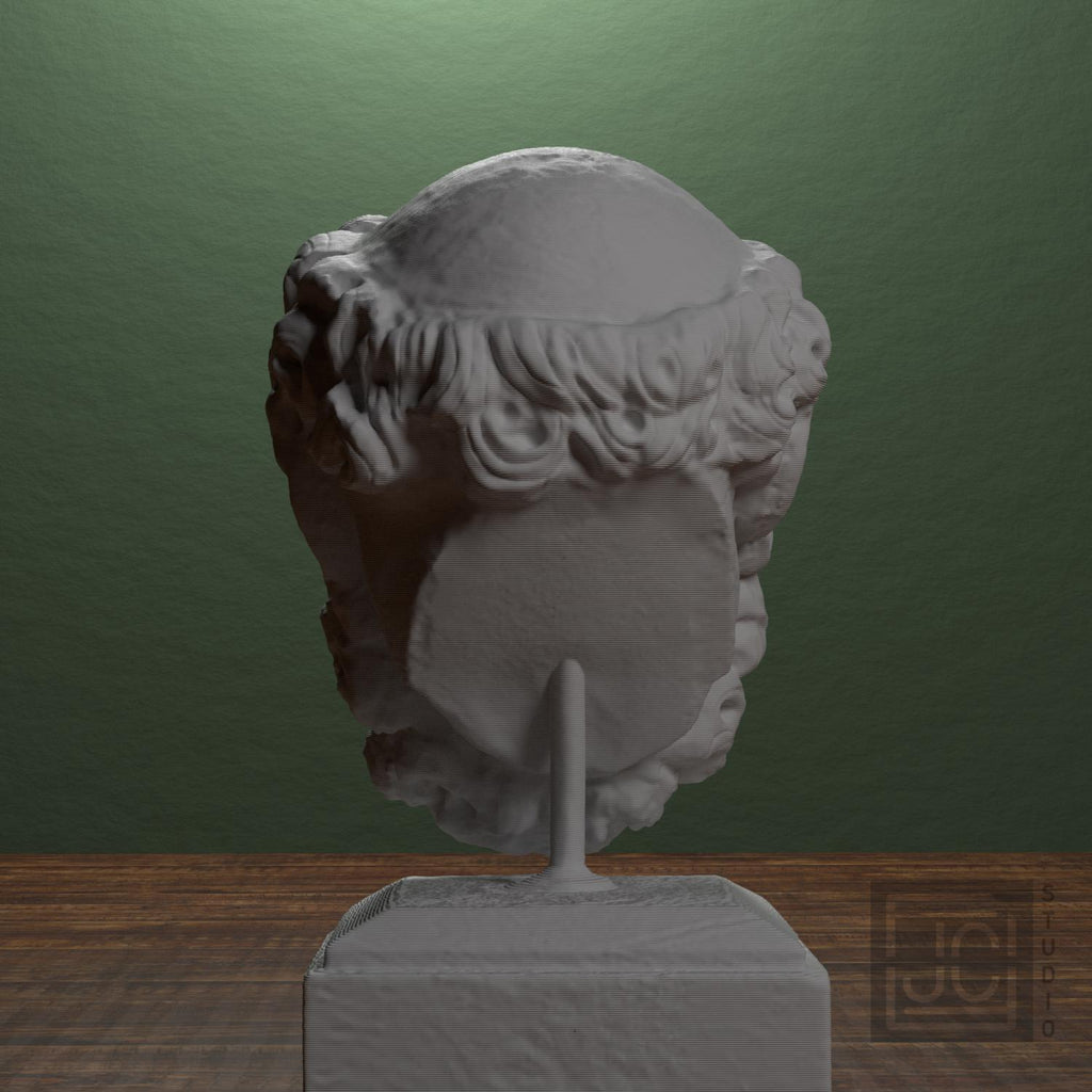 Head of a Bearded Man supplemental reference photo 3