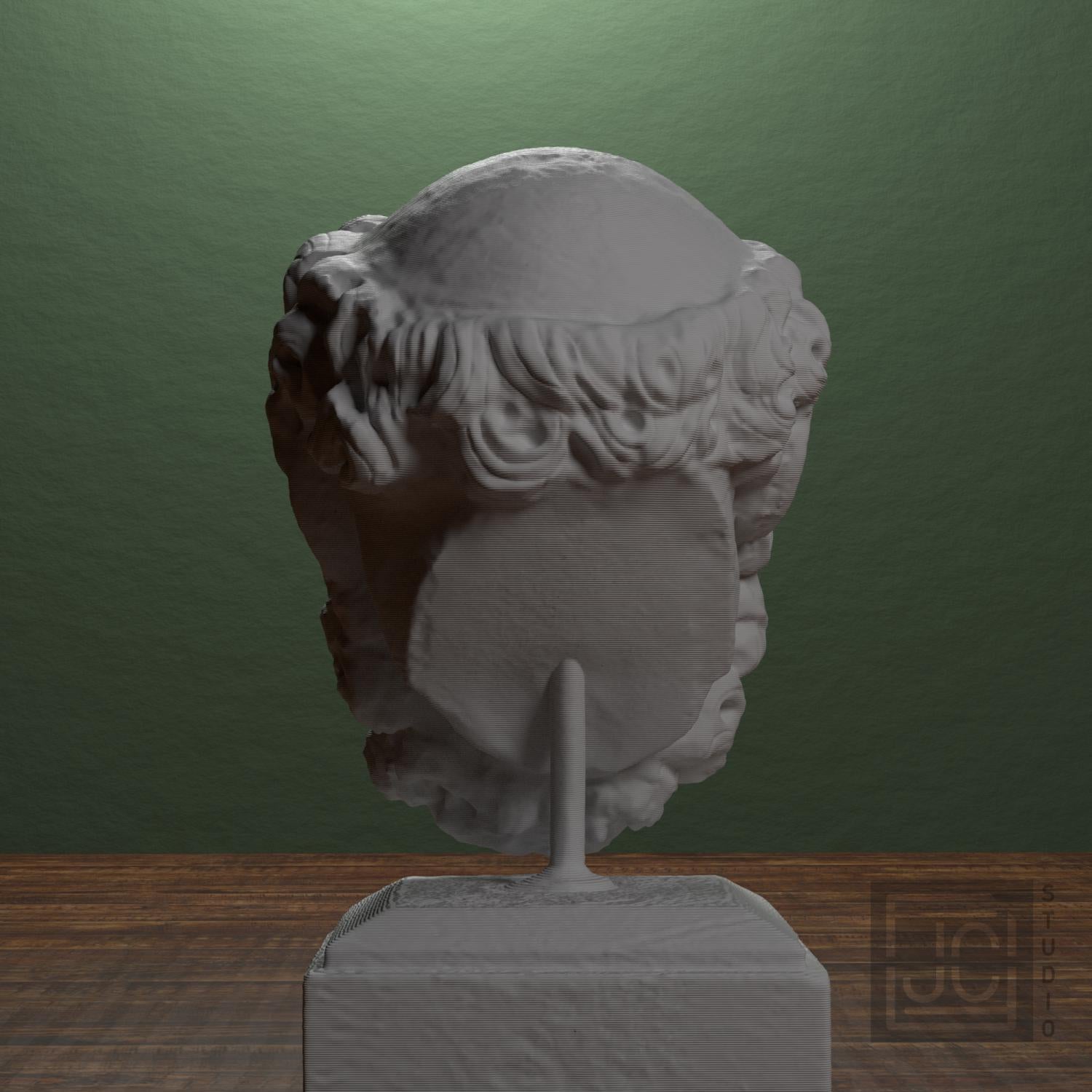Head of a Bearded Man supplemental reference photo 3