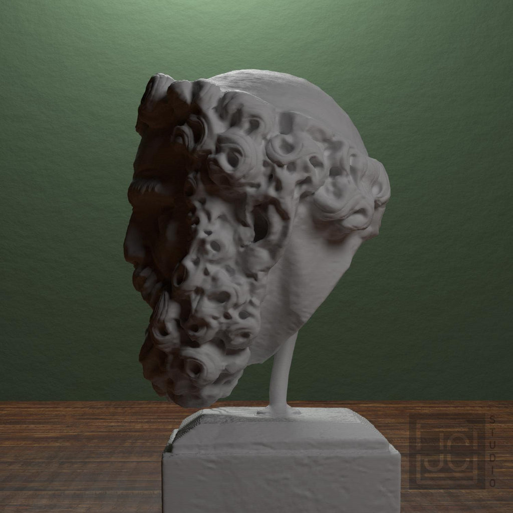 Head of a Bearded Man supplemental reference photo 4
