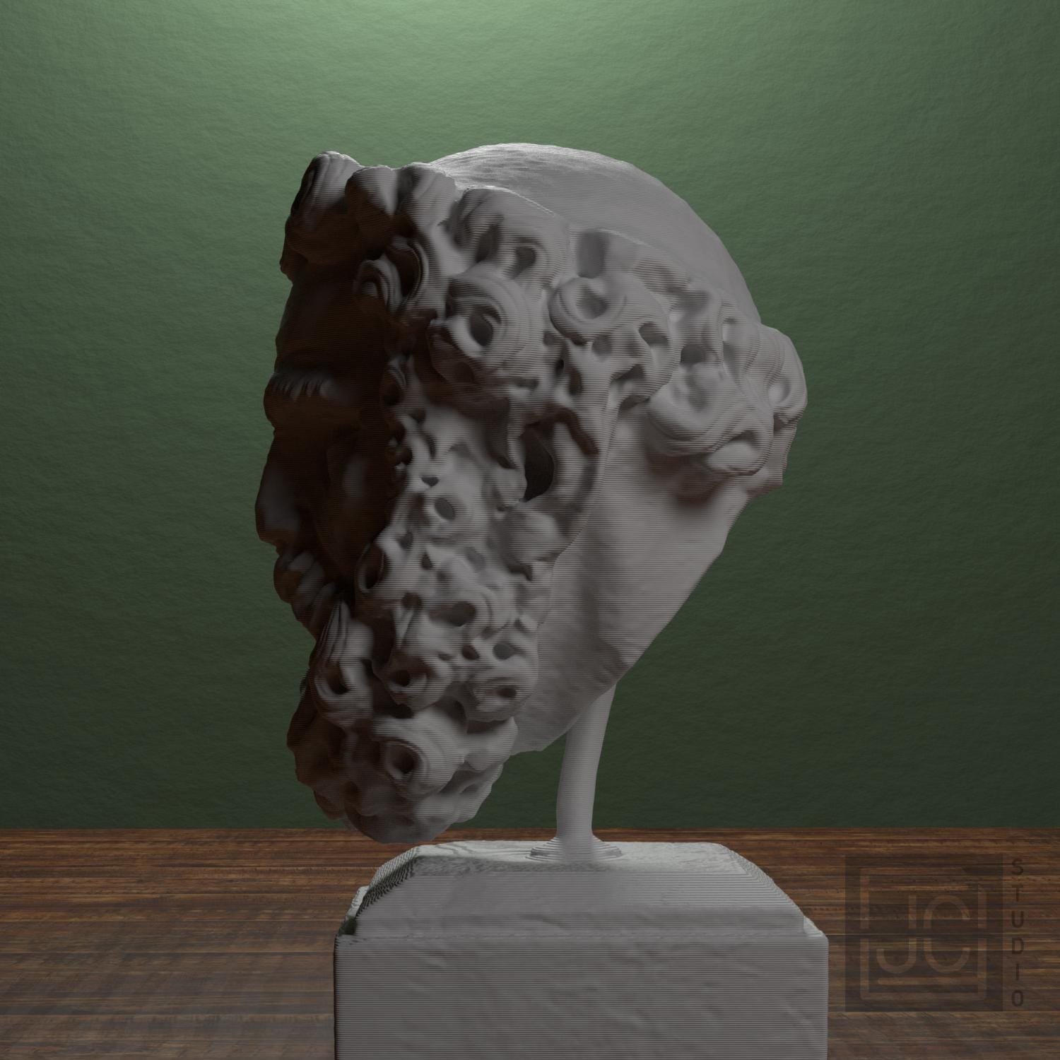 Head of a Bearded Man supplemental reference photo 4