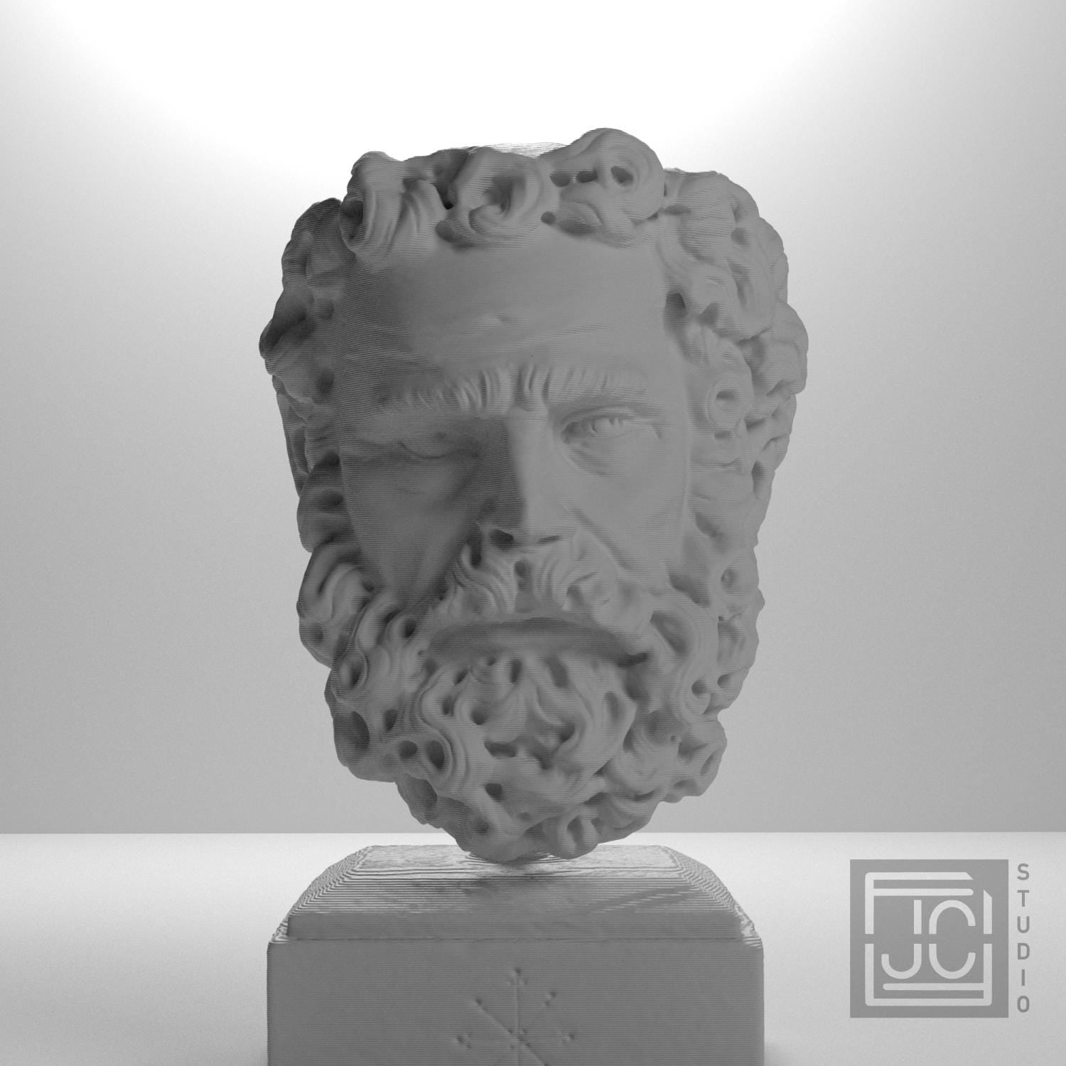 Head of a Bearded Man supplemental reference photo 5