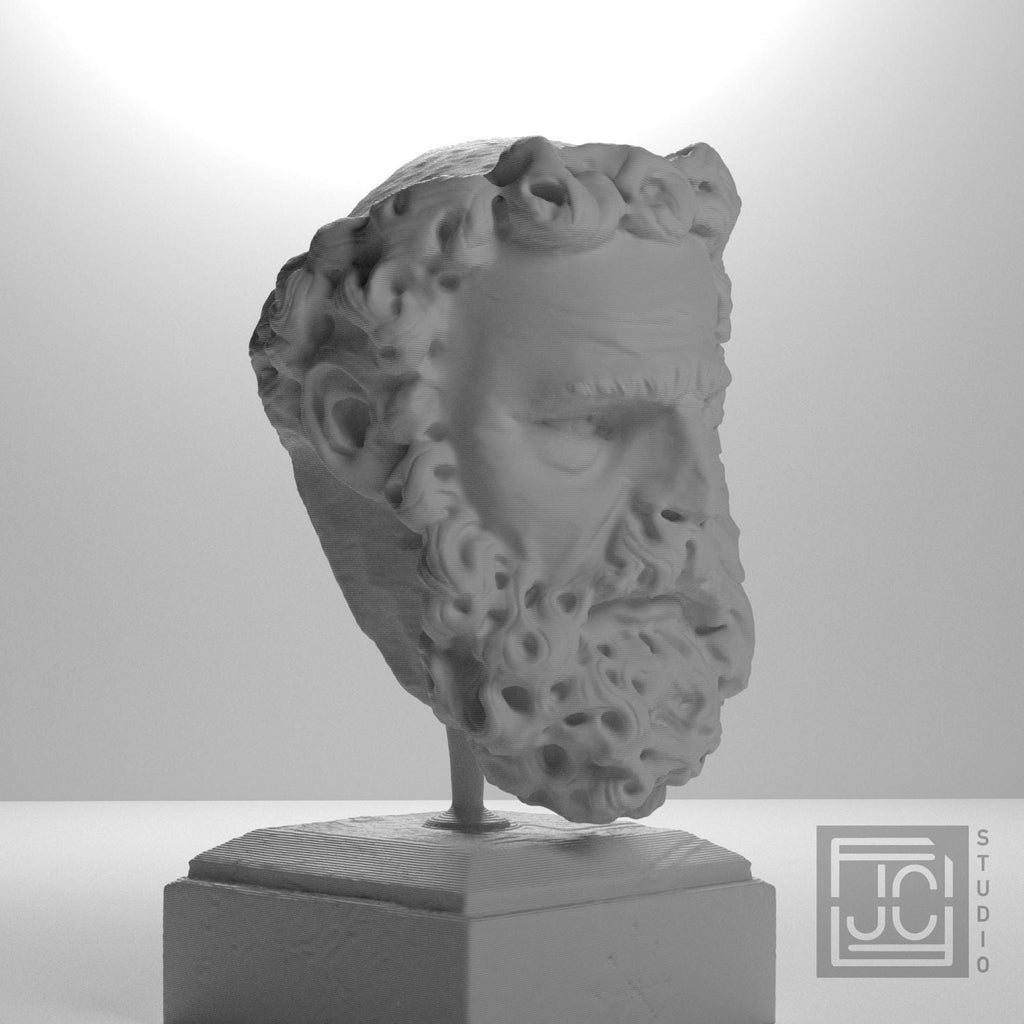 Head of a Bearded Man supplemental reference photo 6