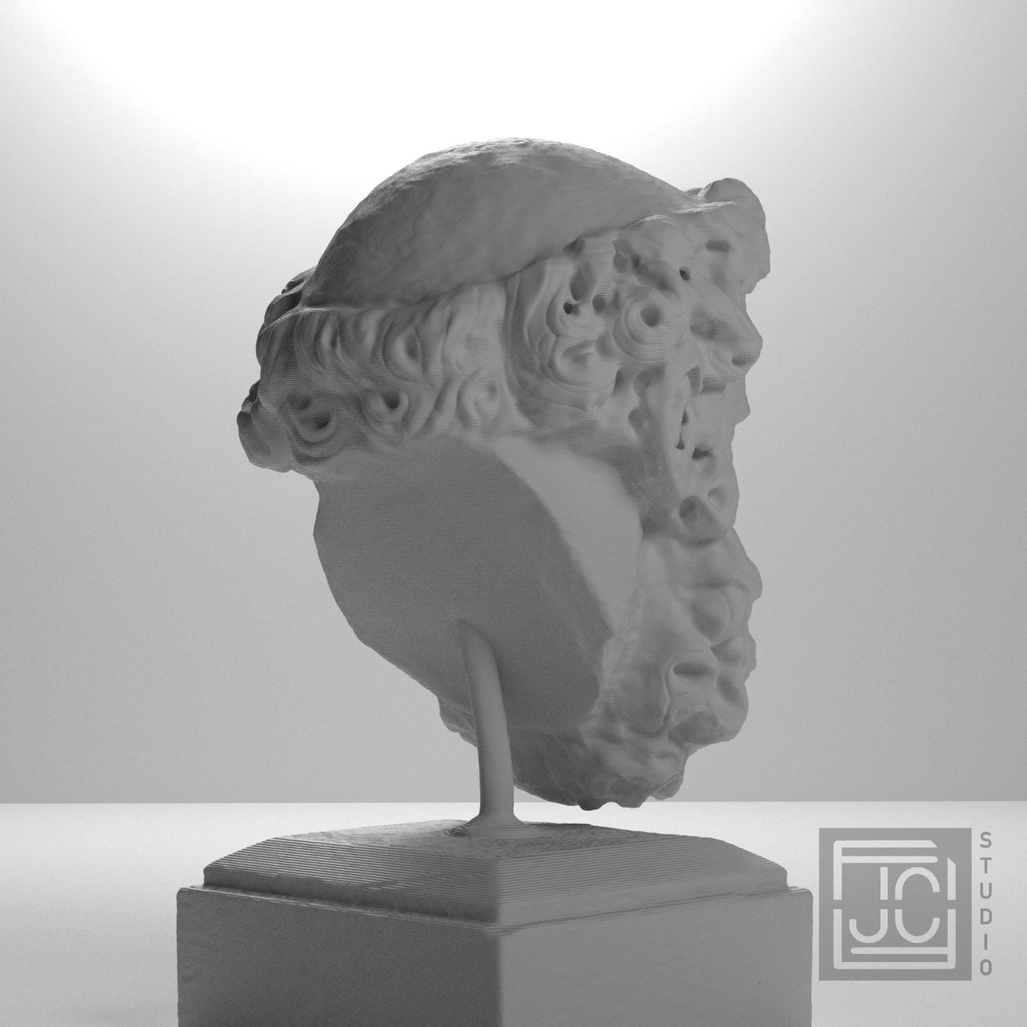 Head of a Bearded Man supplemental reference photo 8