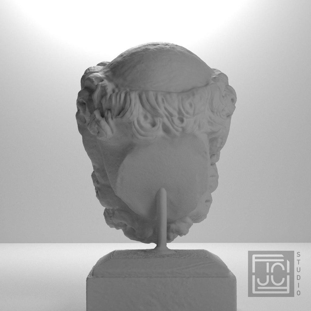 Head of a Bearded Man supplemental reference photo 9