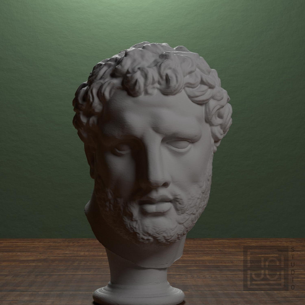 Head supplemental reference photo 1